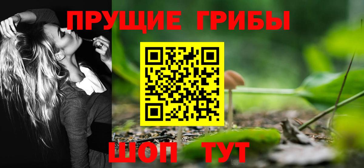 Псилоцибиновые грибы Psilocybine cubensis Рязань